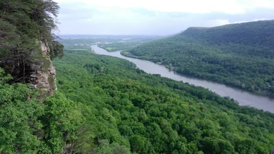 Signal Mountain - Photo 5