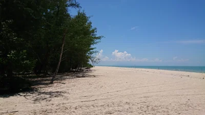 Pak Phanang - Photo 4