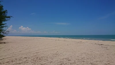 Pak Phanang - Photo 5