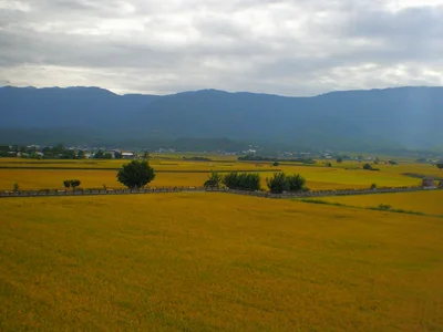 Chishang - Photo 4