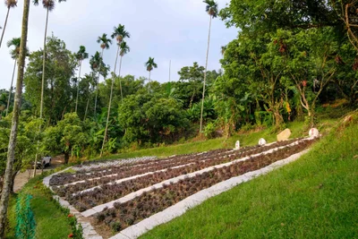 Zhuqi Township - Photo 2