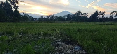 Kuningan - Photo 2