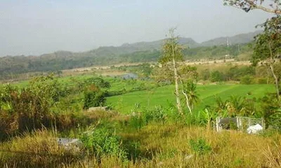 Kuningan - Photo 4