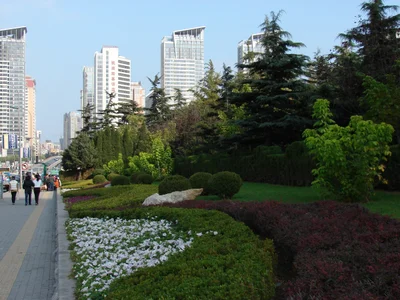 Dalian - Photo 4
