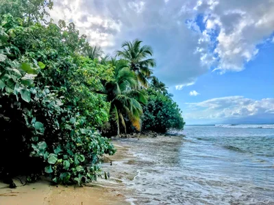Isla de Vieques - Photo 2
