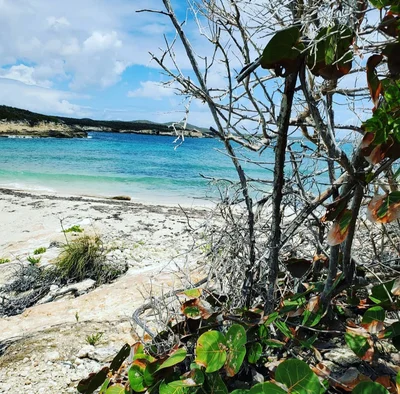 Isla de Vieques - Photo 3