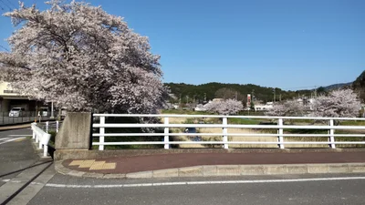 Ujitawara - Photo 2