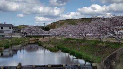 Ujitawara - Photo 3