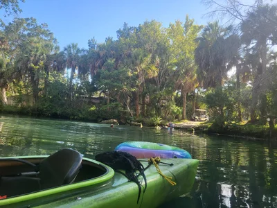 Weeki Wachee - Photo 4