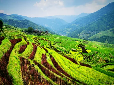 Longsheng - Photo 2