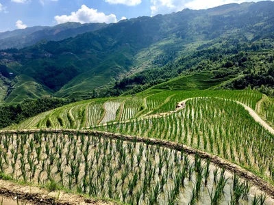 Longsheng - Photo 5
