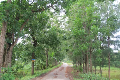 Ratchaburi - Photo 3