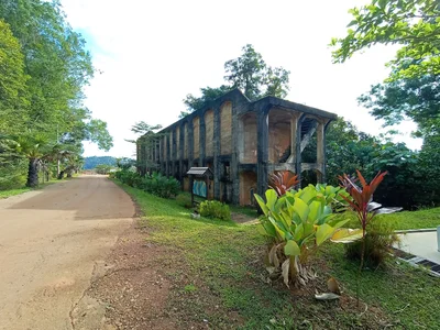 Dungun - Photo 2