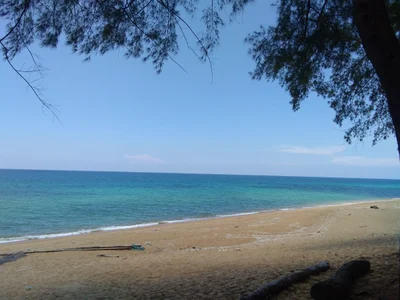 Dungun - Photo 3
