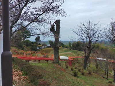 Hikawa - Photo 2