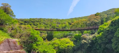 Hikawa - Photo 3