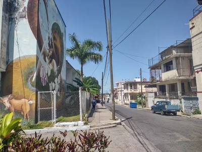 Pinar del Rio Province - Photo 4