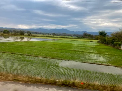 Wiang Pa Pao - Photo 2