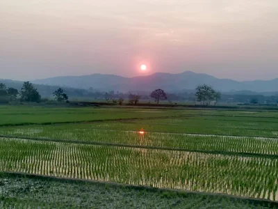 Wiang Pa Pao - Photo 3