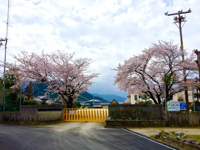 Saijo - Photo 4