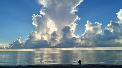 North Miami - Photo 4