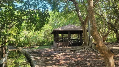 North Miami - Photo 5