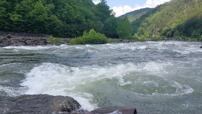 Ocoee - Photo 2