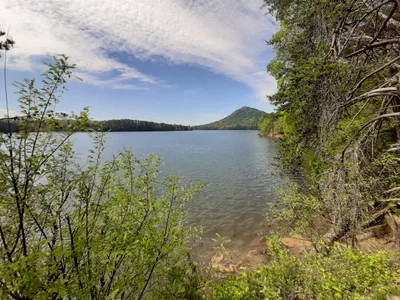 Ocoee - Photo 4