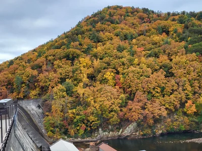 Ocoee - Photo 5