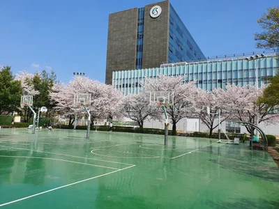 Suwon-si - Photo 4