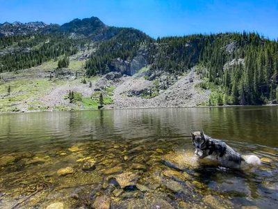 Copper Mountain - Photo 2