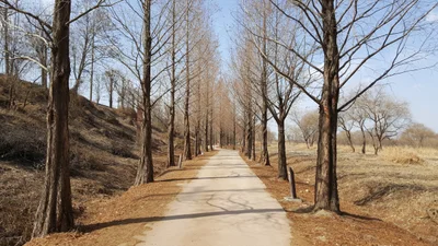 Hanam-si - Photo 5