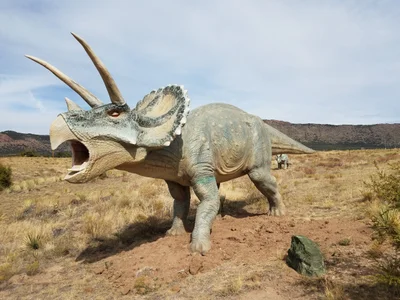 Chaffee County - Photo 2