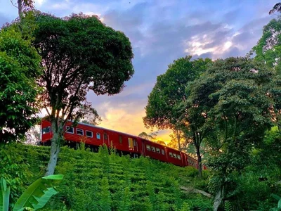 Bandarawela - Photo 5