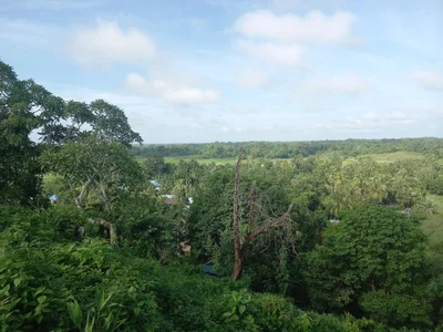 Pyay Township - Photo 2