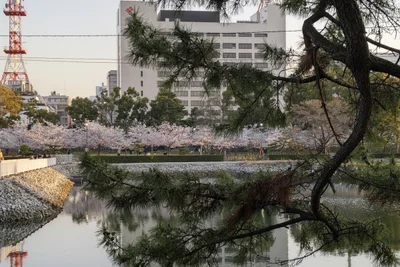 Takamatsu - Photo 2