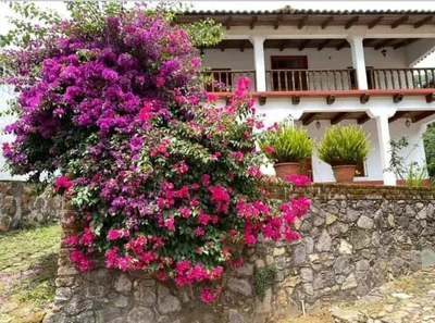 San Sebastian del Oeste - Photo 3