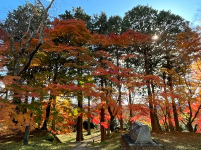 Nihonmatsu - Photo 2