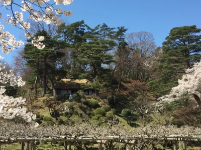 Nihonmatsu - Photo 4