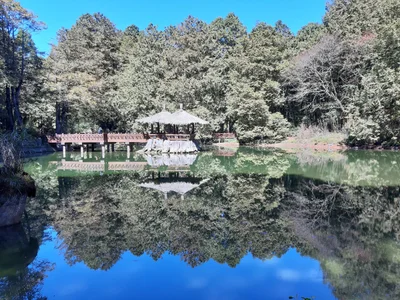 Alishan Township - Photo 2