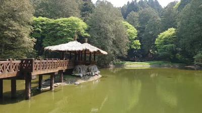 Alishan Township - Photo 5