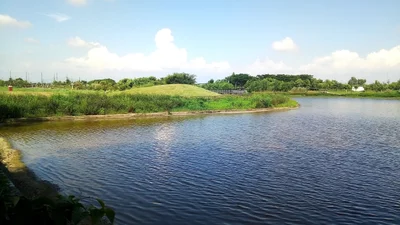 Taibao City - Photo 2