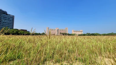 Taibao City - Photo 3