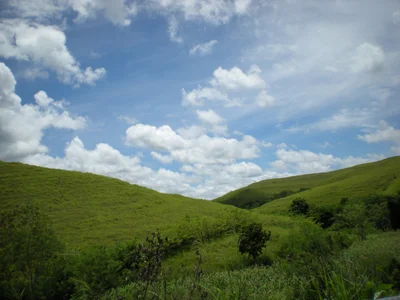 Waingapu - Photo 2