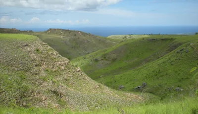 Waingapu - Photo 3