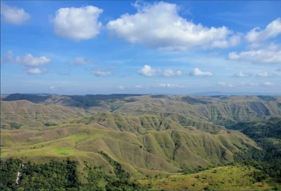 Waingapu - Photo 5