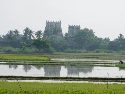 Tirunelveli - Photo 5