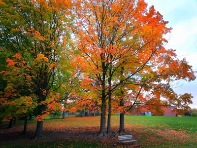 Whitchurch-Stouffville - Photo 2