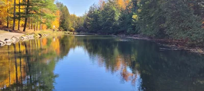 Whitchurch-Stouffville - Photo 4