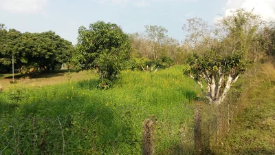 Hang Chat - Photo 4